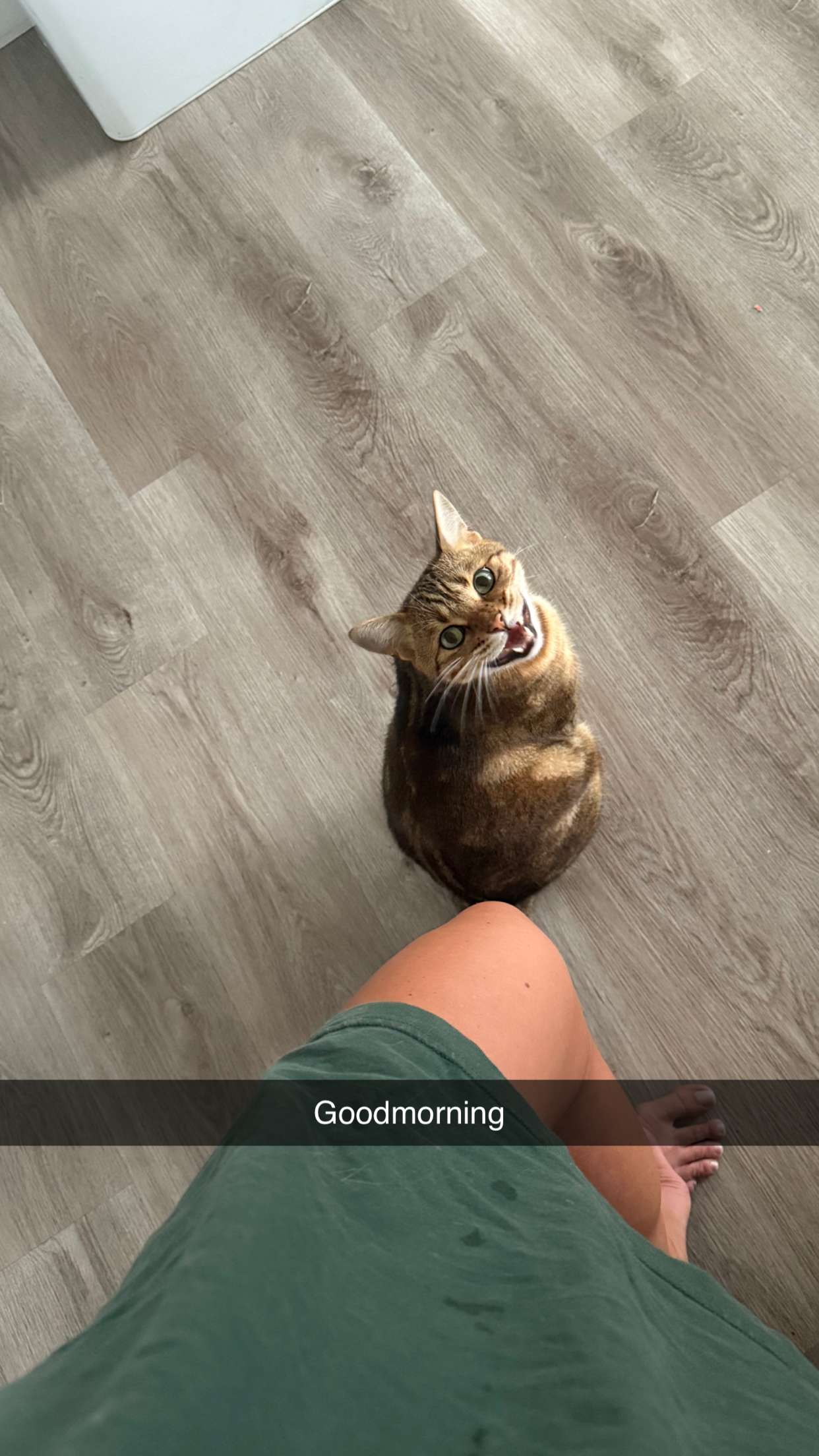 jadelynmusic snapchat image archive image