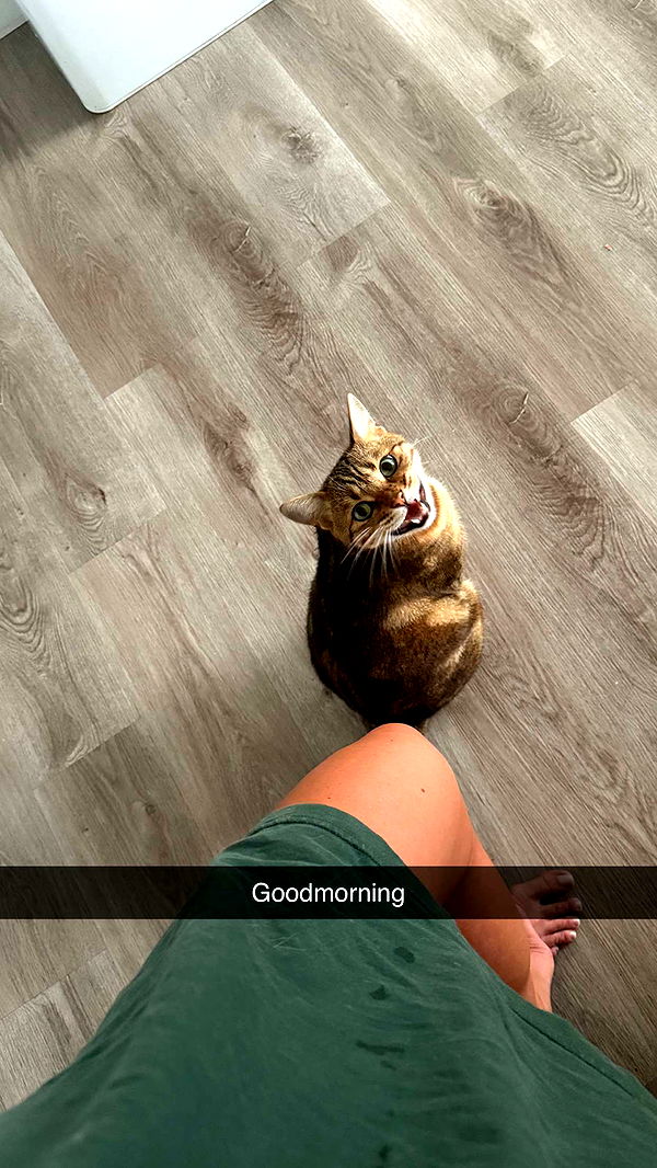 jadelynmusic image ~ Altpins