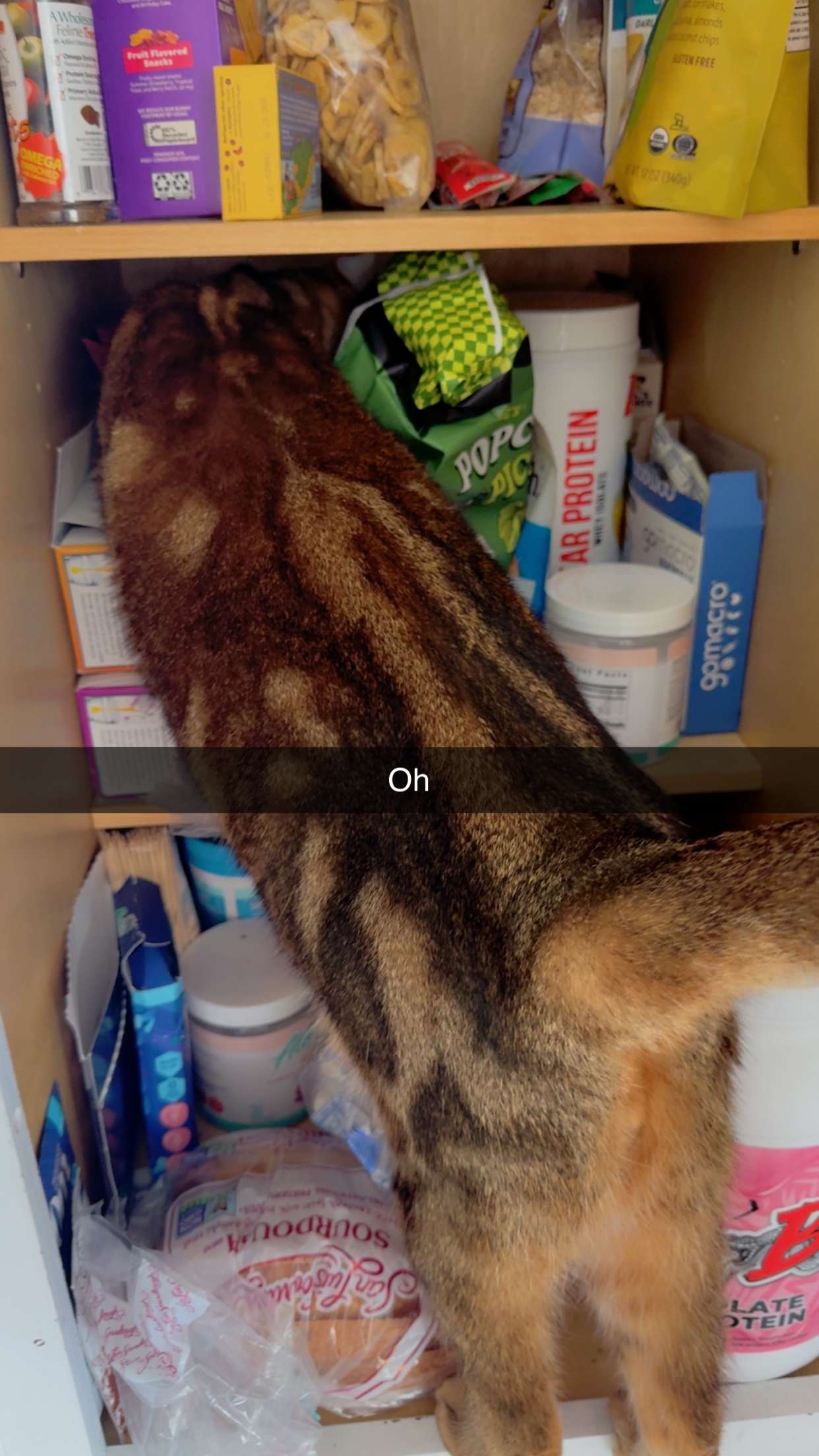 jadelynmusic snapchat image archive image