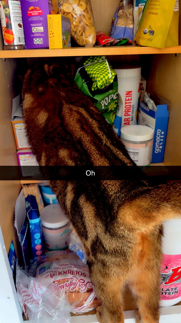 jadelynmusic image ~ Altpins