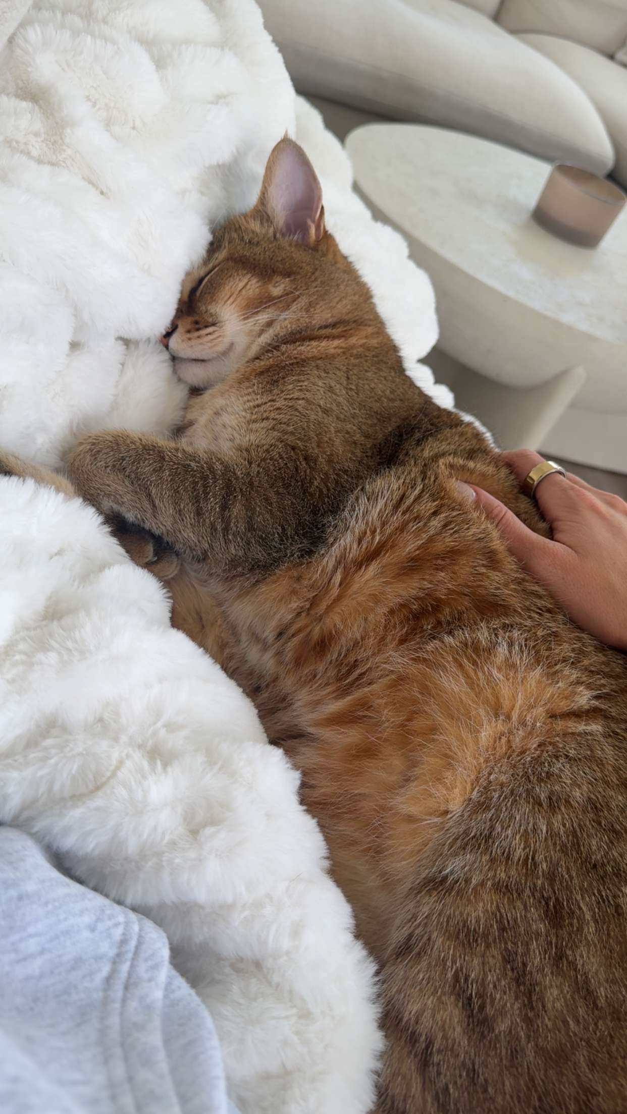 jadelynmusic snapchat image archive image