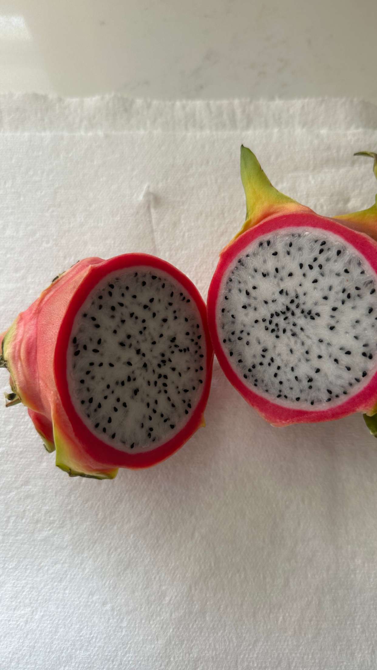 jadelynmusic snapchat image archive image