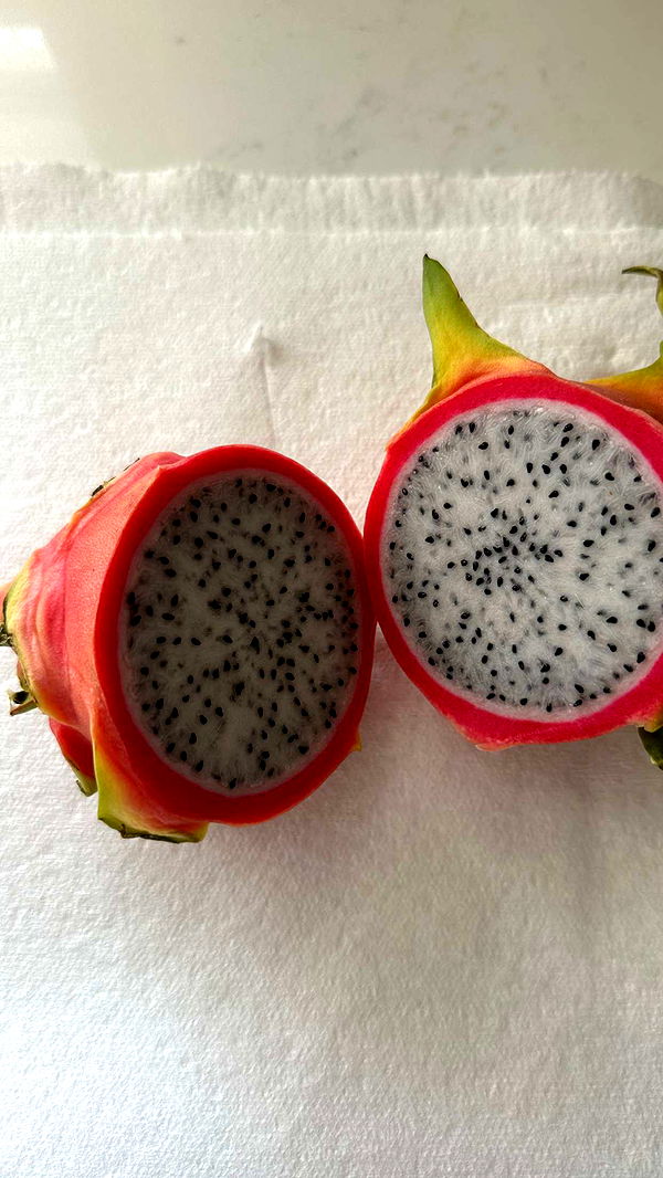 jadelynmusic image ~ Altpins