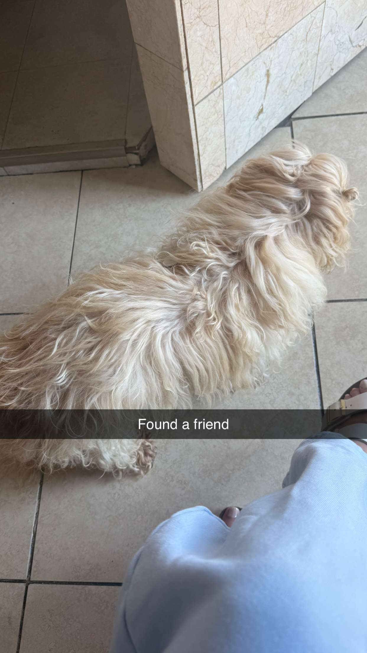 jadelynmusic snapchat image archive image