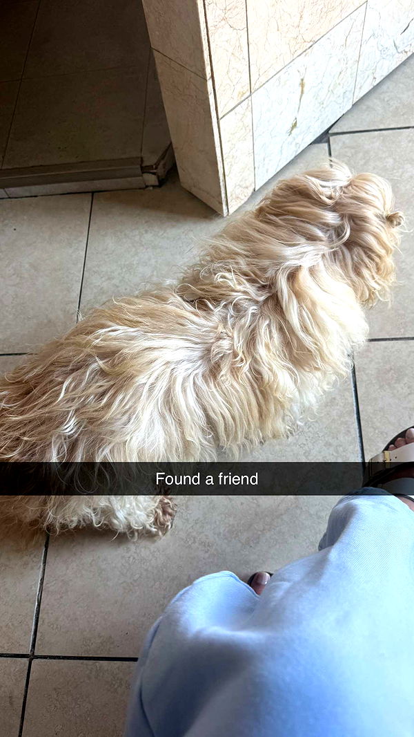 jadelynmusic image ~ Altpins