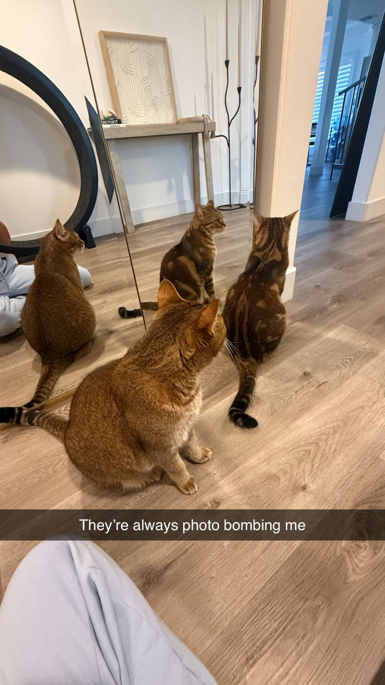 jadelynmusic snapchat image archive image