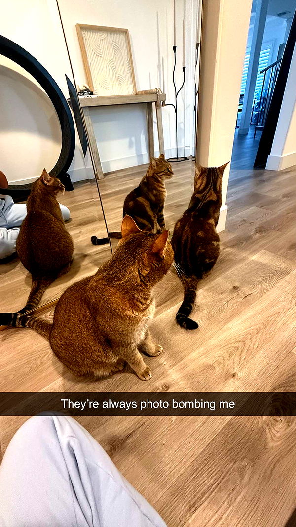 jadelynmusic image ~ Altpins