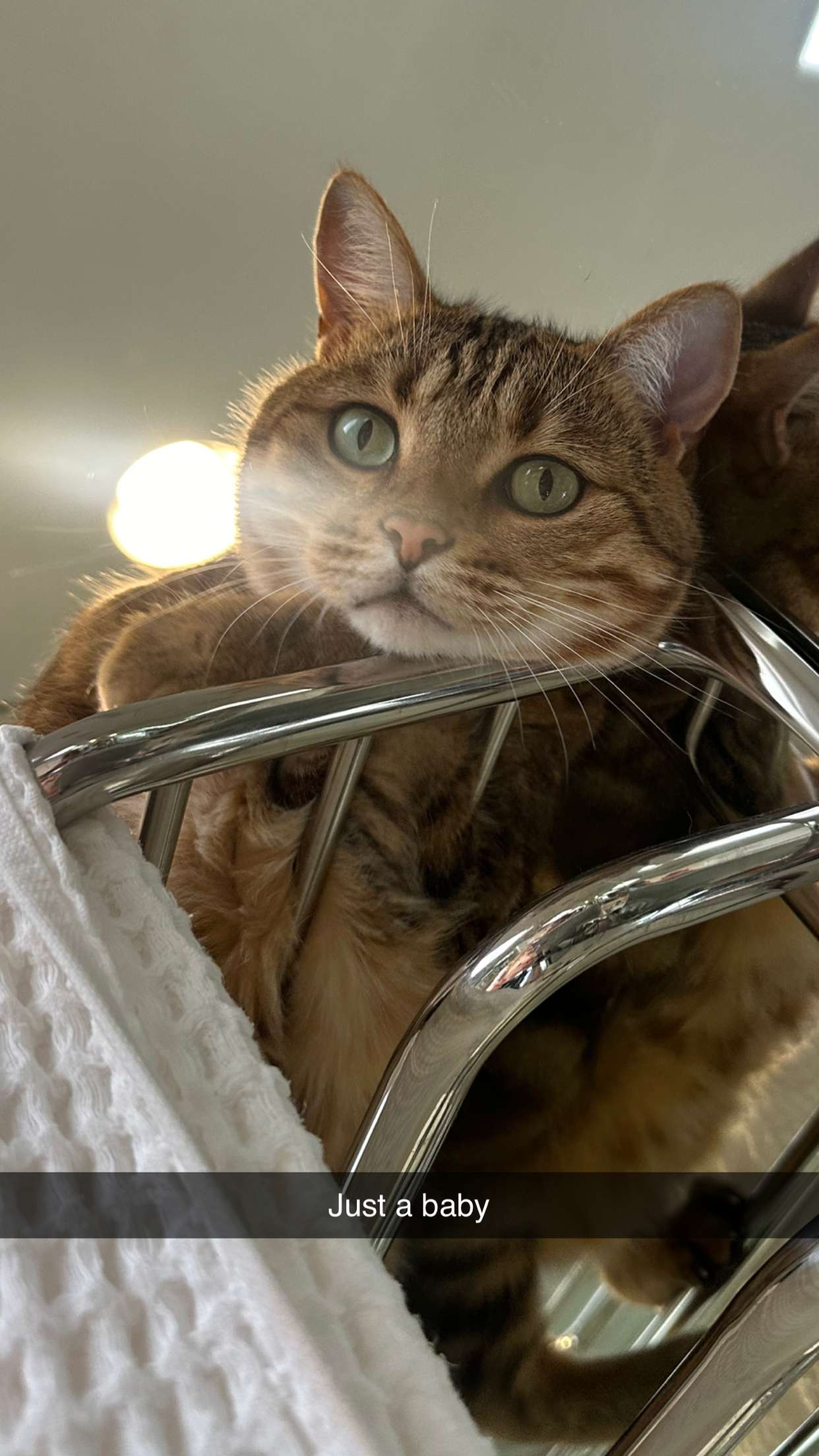 jadelynmusic snapchat image archive image