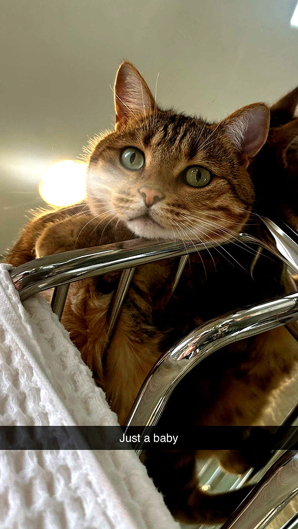 jadelynmusic image ~ Altpins