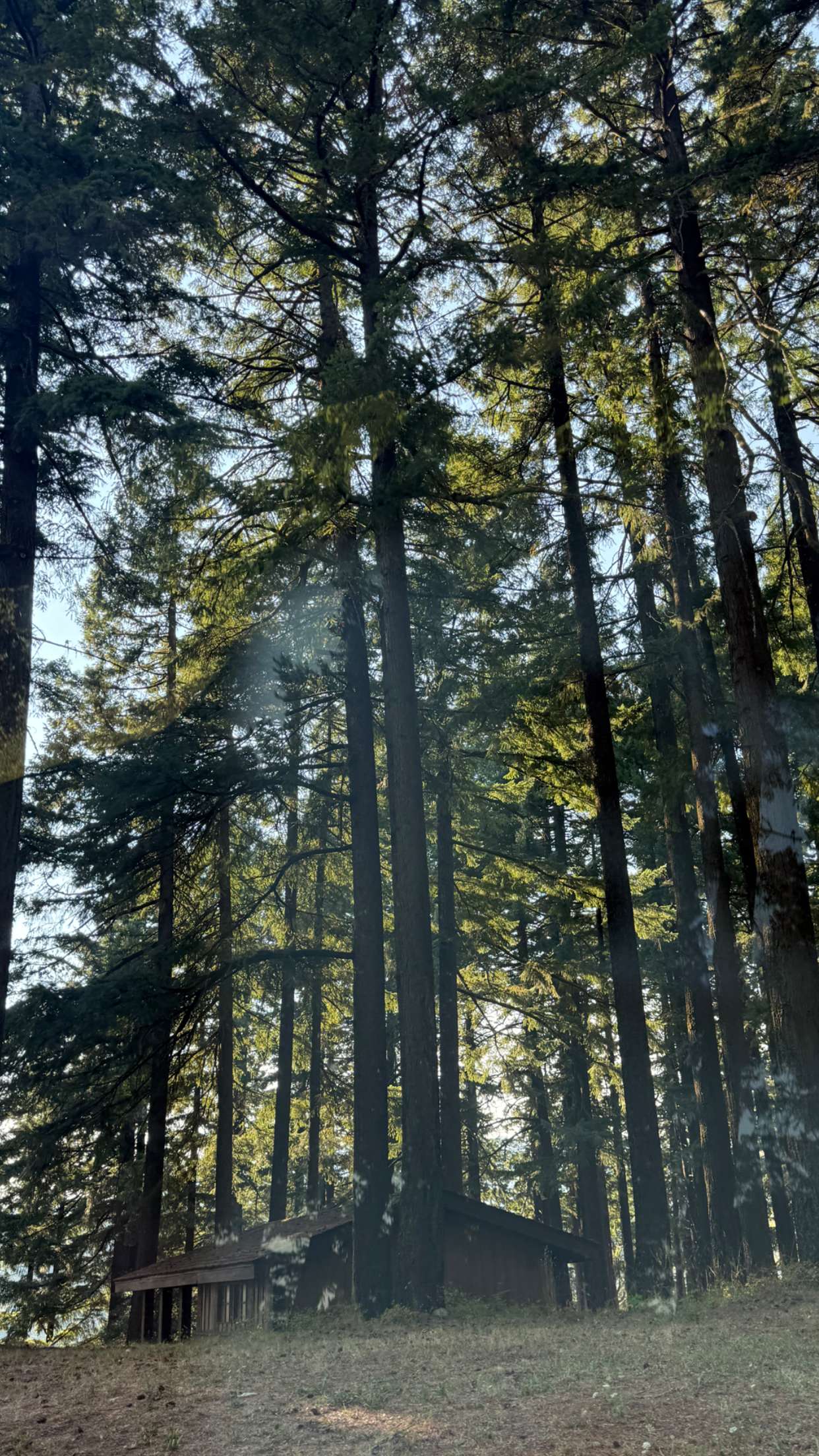 jadelynmusic snapchat image archive image