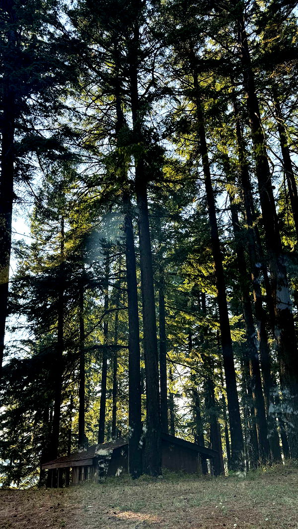 jadelynmusic image ~ Altpins