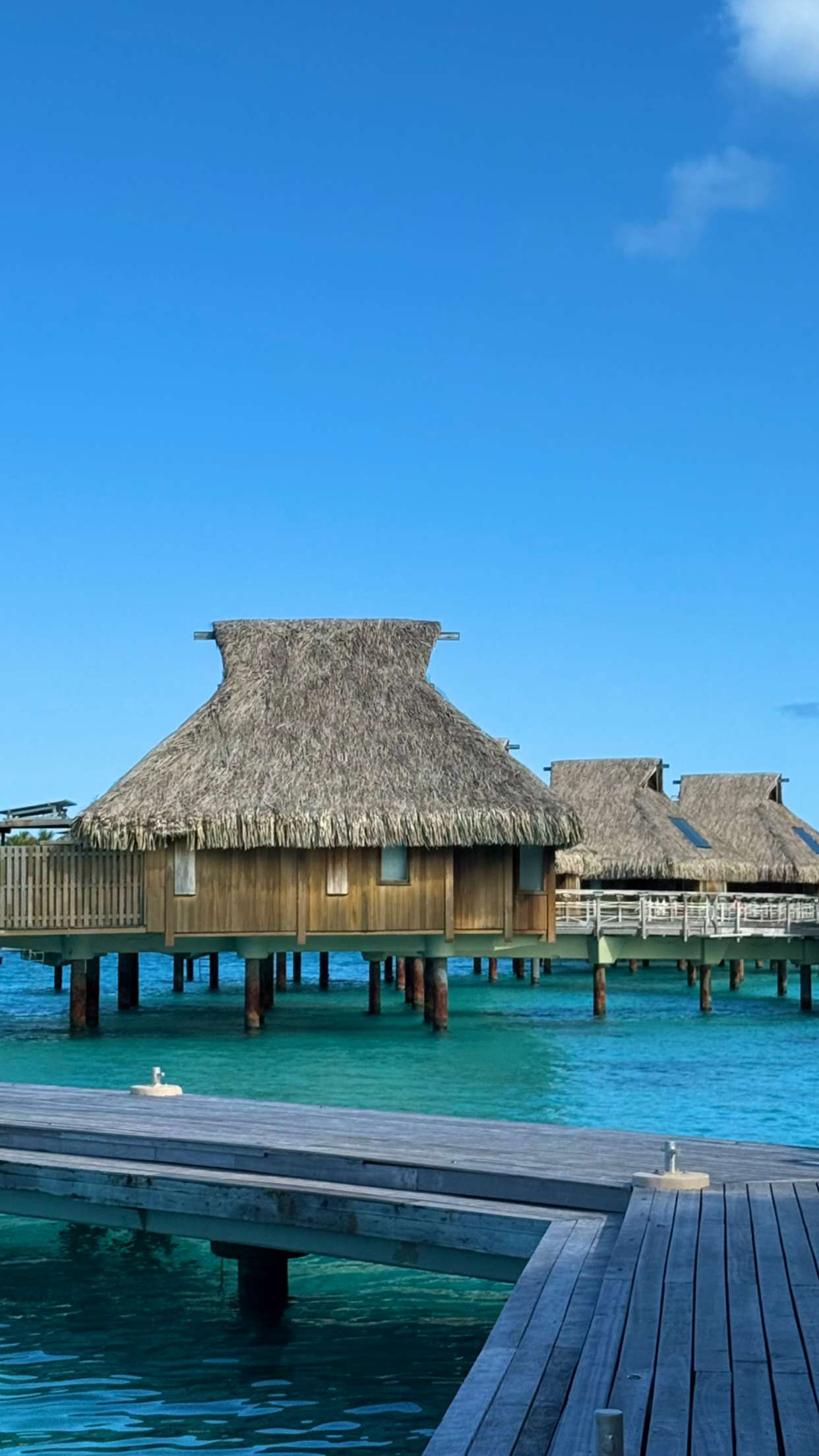 jadelynmusic snapchat image archive image