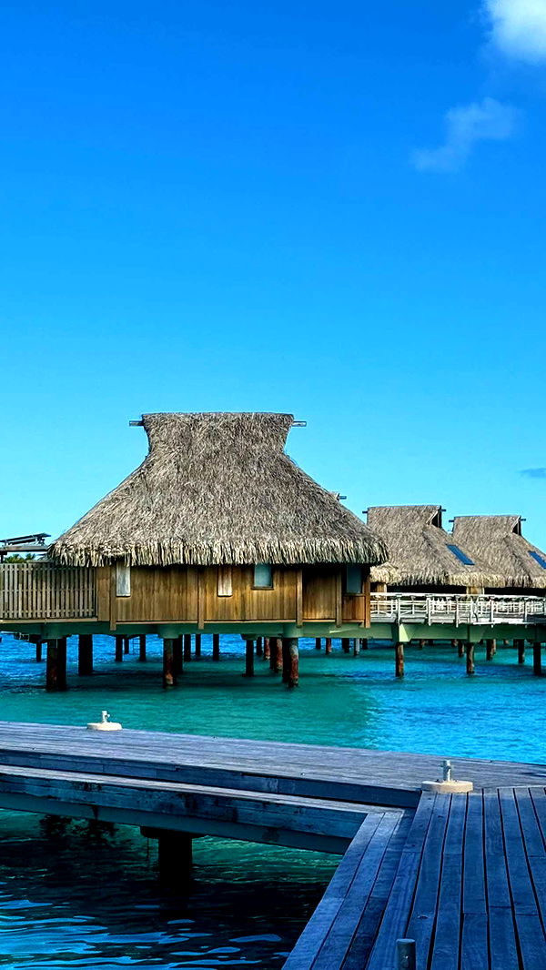 jadelynmusic image ~ Altpins