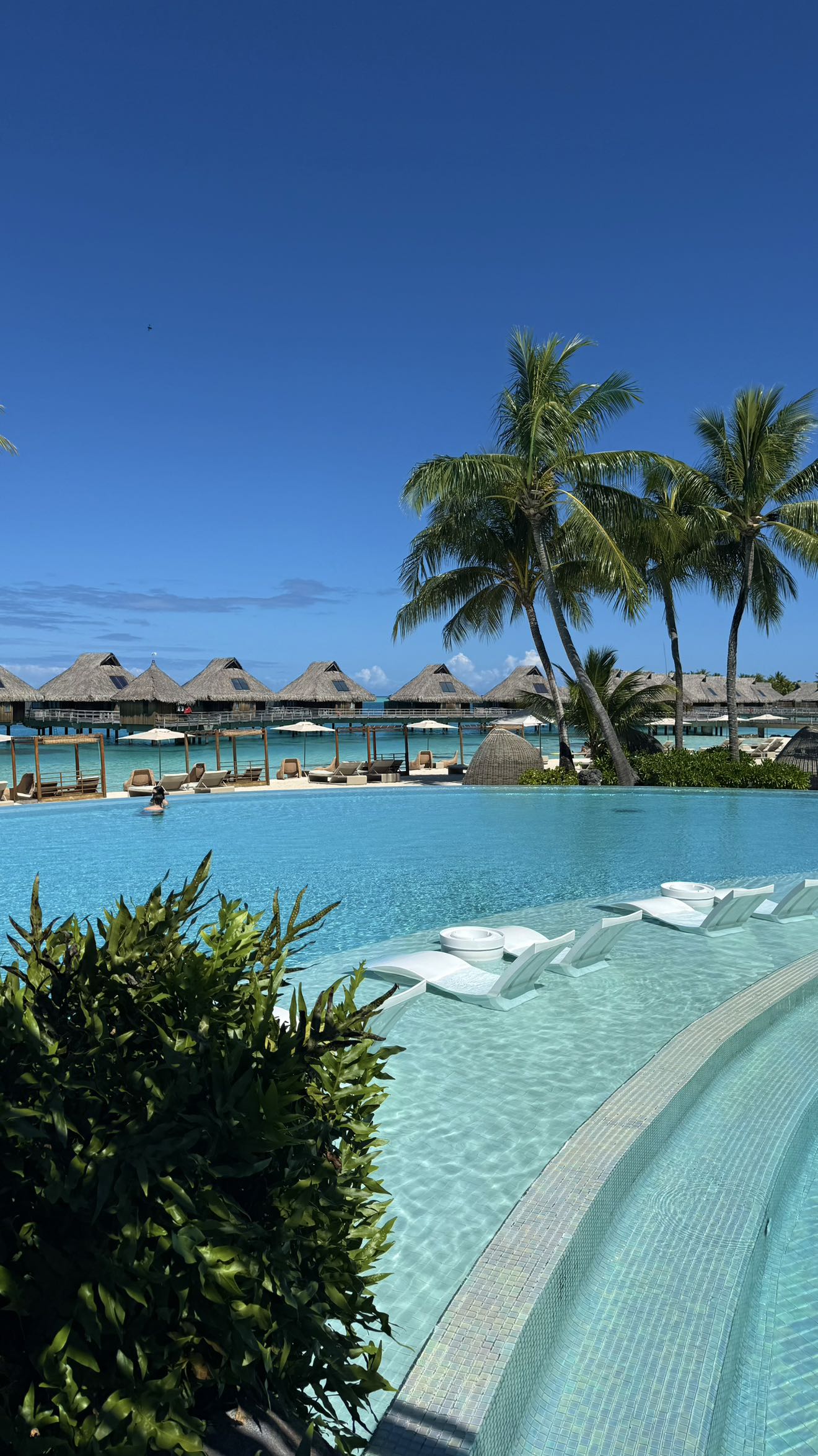 jadelynmusic snapchat image archive image