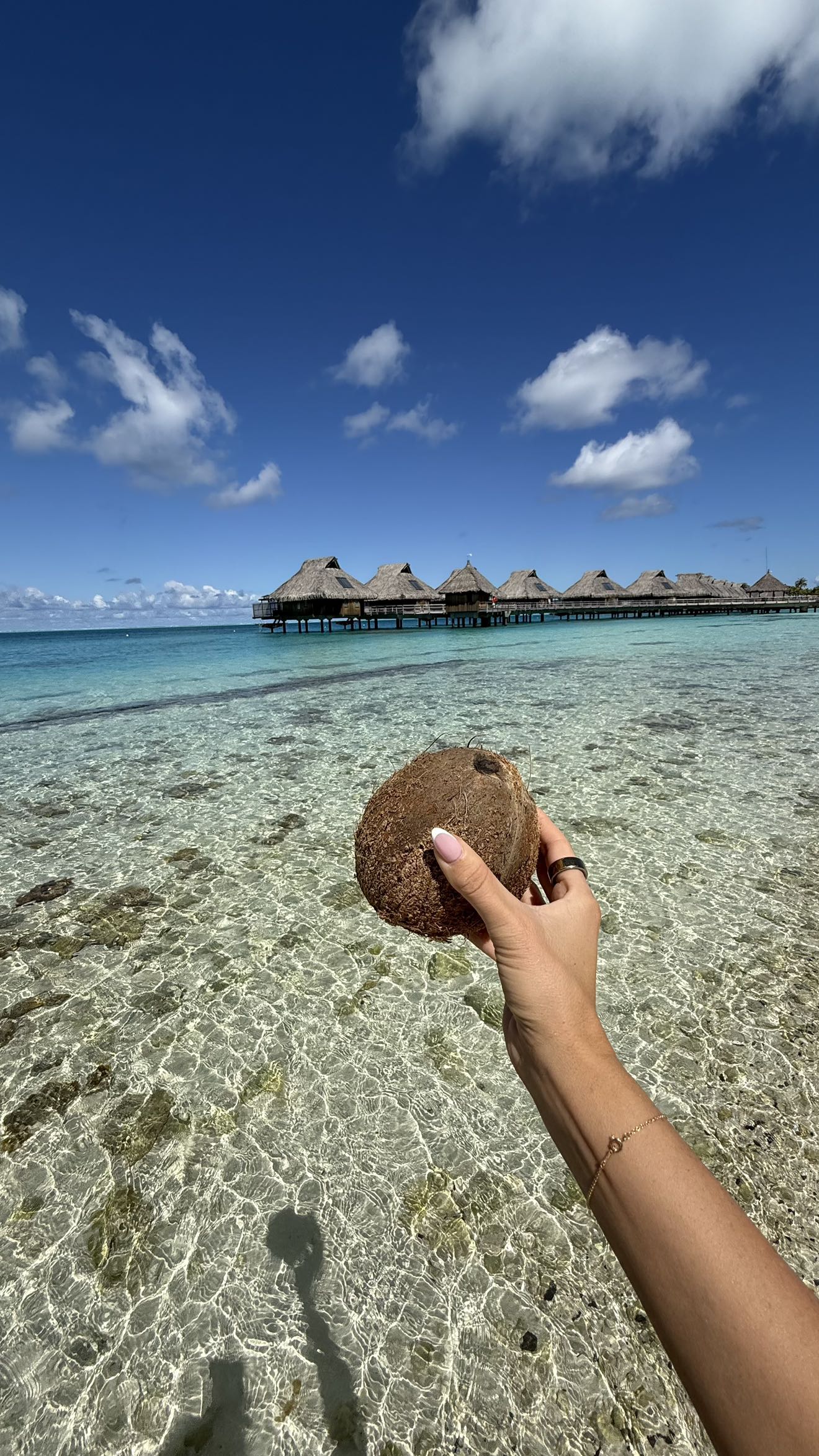 jadelynmusic snapchat image archive image