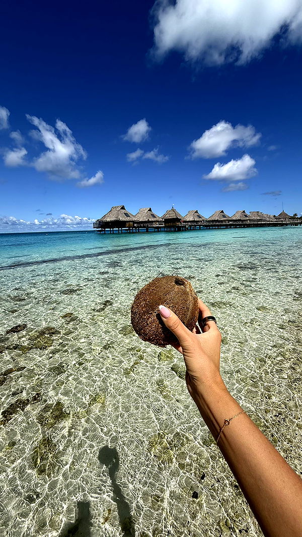 jadelynmusic image ~ Altpins