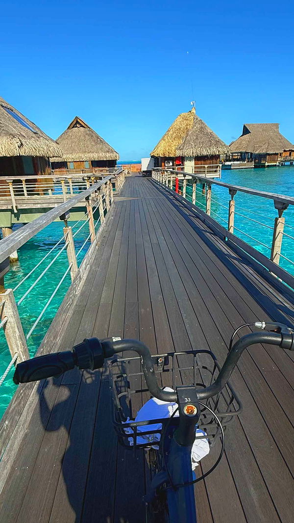 jadelynmusic image ~ Altpins