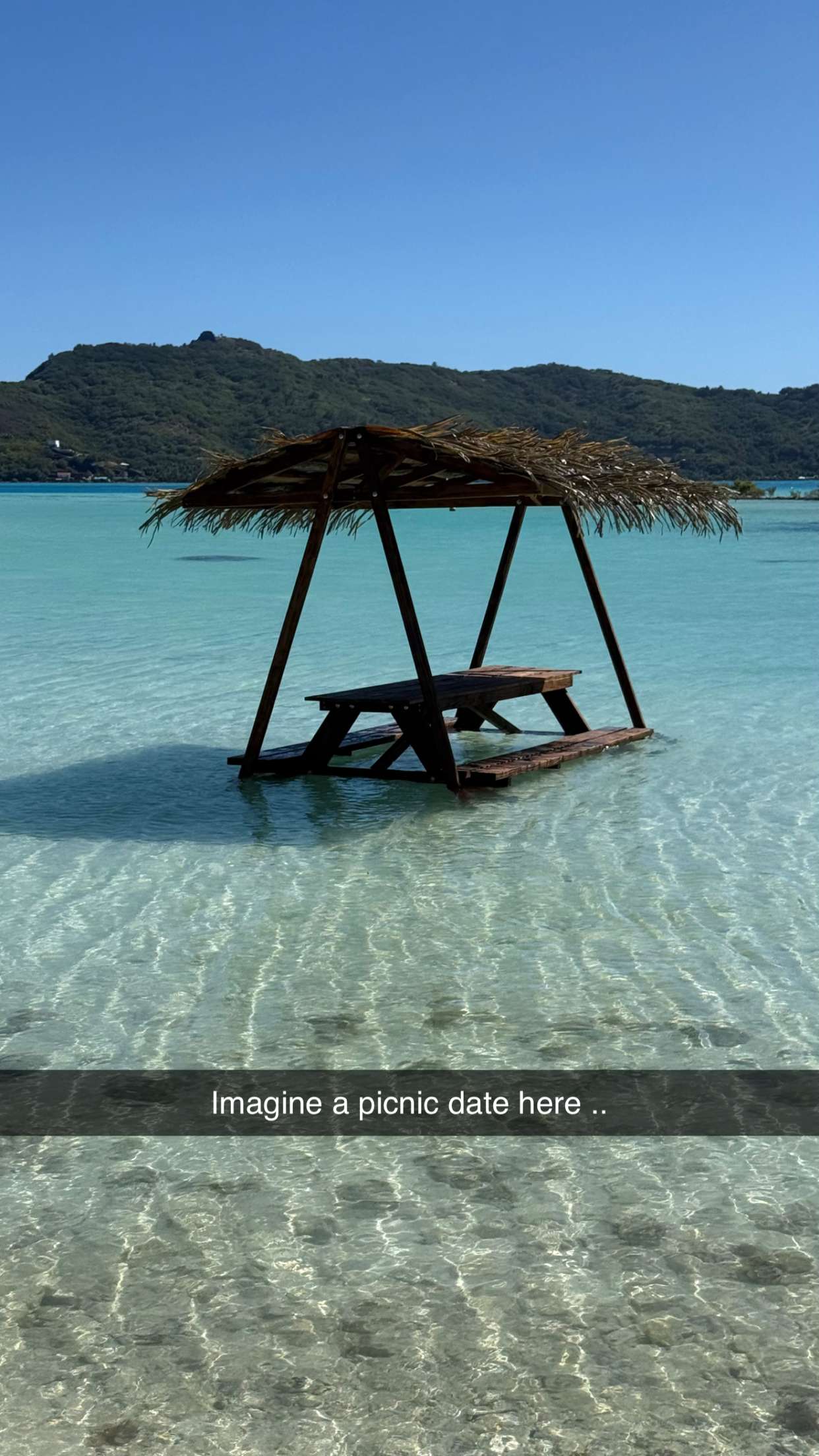 jadelynmusic snapchat image archive image