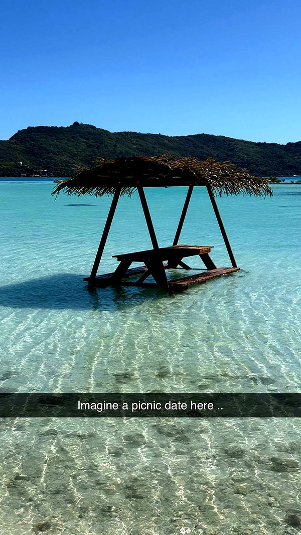 jadelynmusic image ~ Altpins