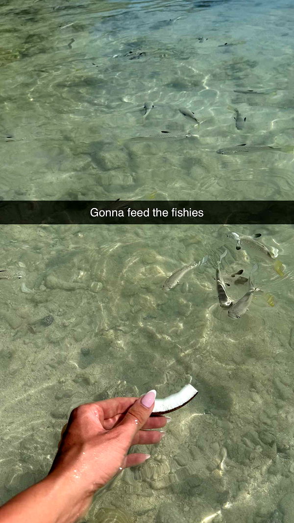 jadelynmusic image ~ Altpins