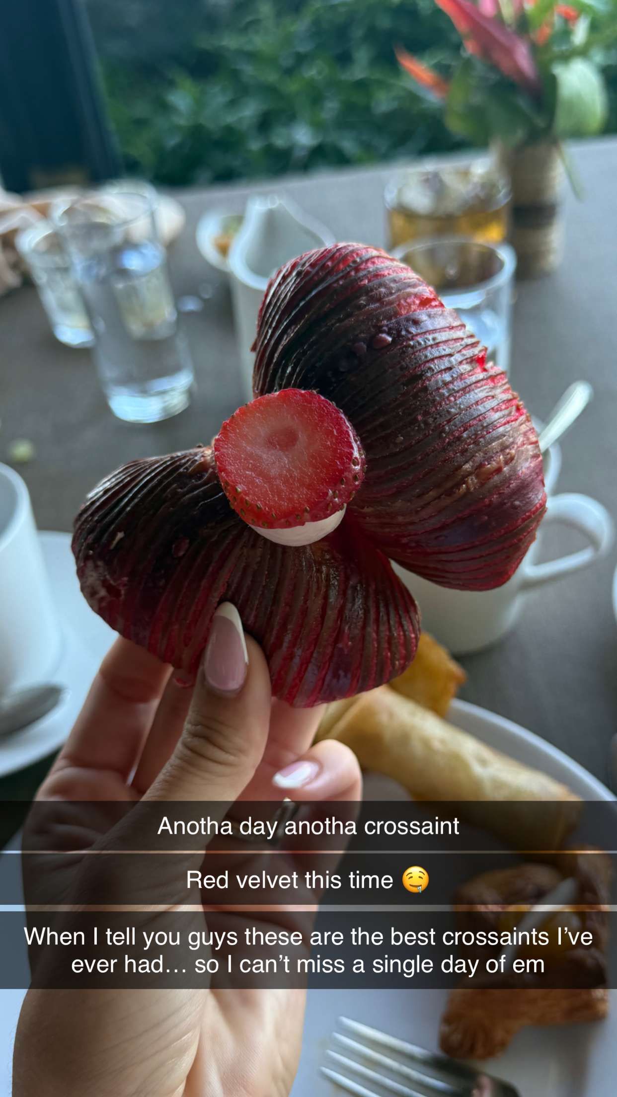 jadelynmusic snapchat image archive image