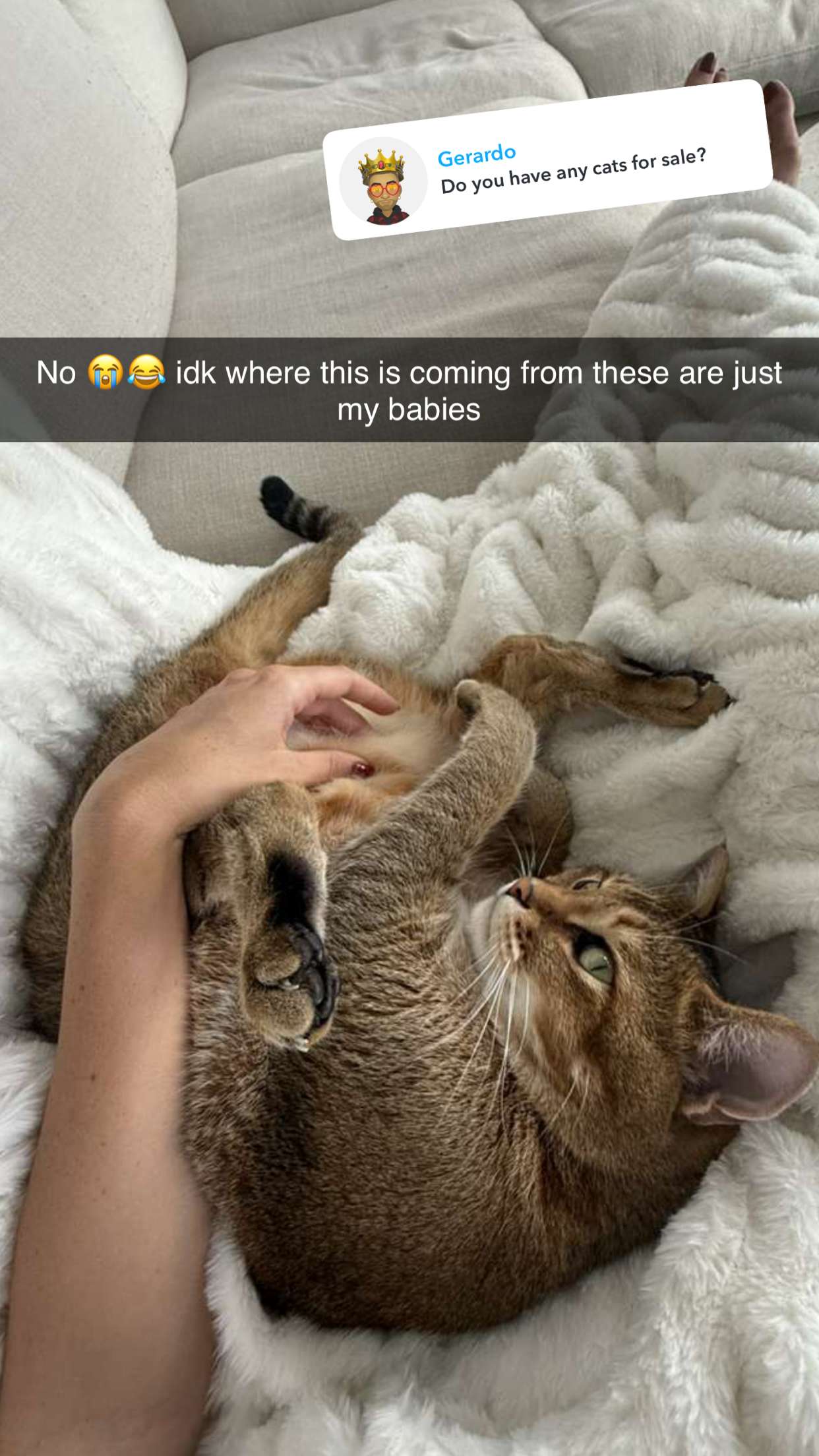 jadelynmusic snapchat image archive image