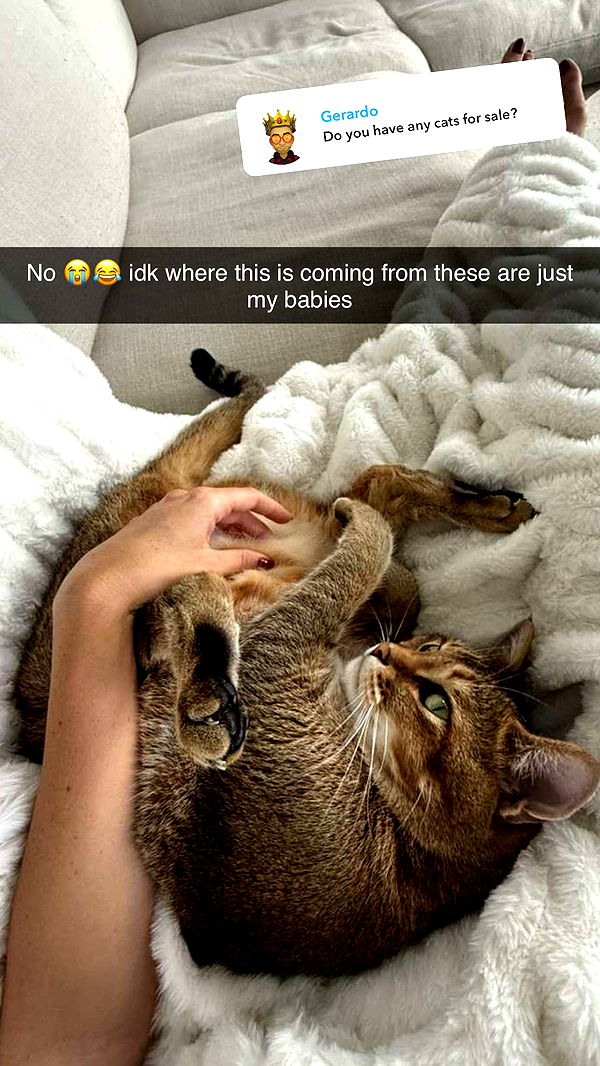 jadelynmusic image ~ Altpins