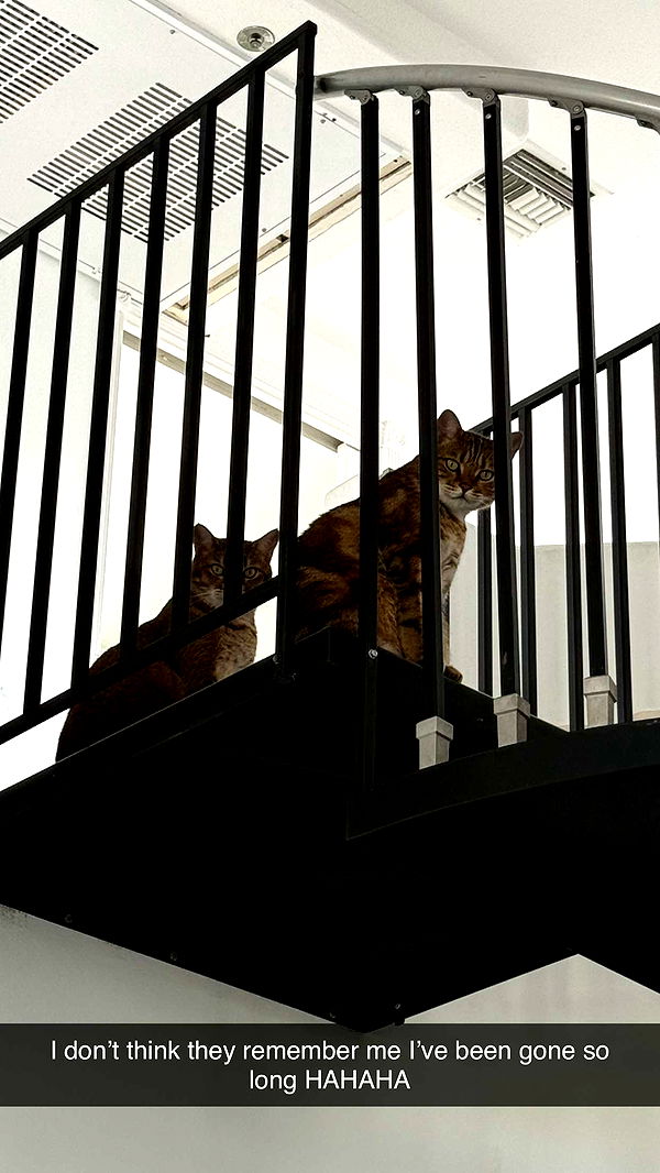 jadelynmusic image ~ Altpins