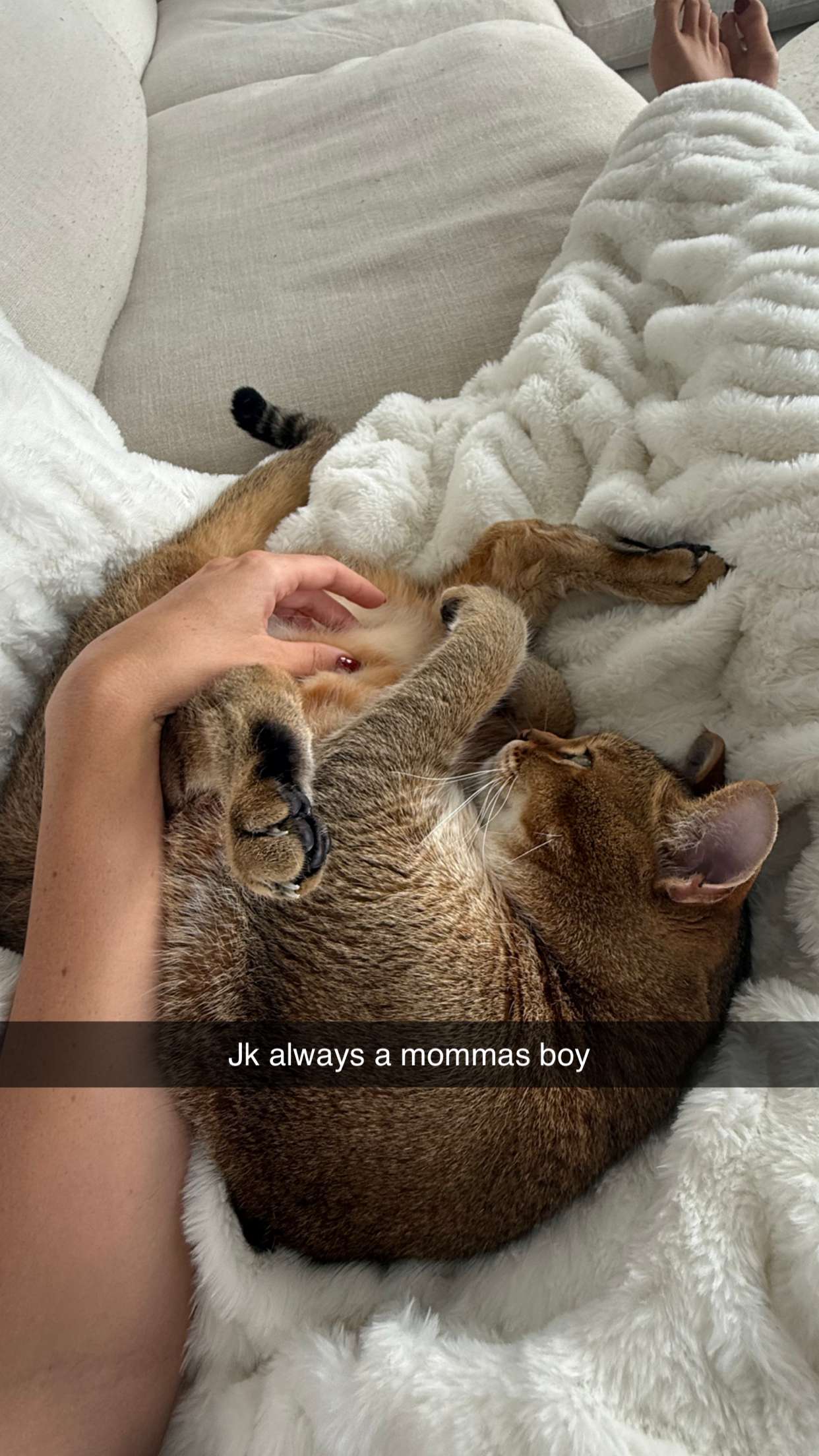 jadelynmusic snapchat image archive image