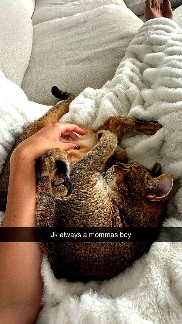 jadelynmusic image ~ Altpins