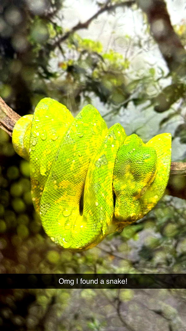 jadelynmusic image ~ Altpins