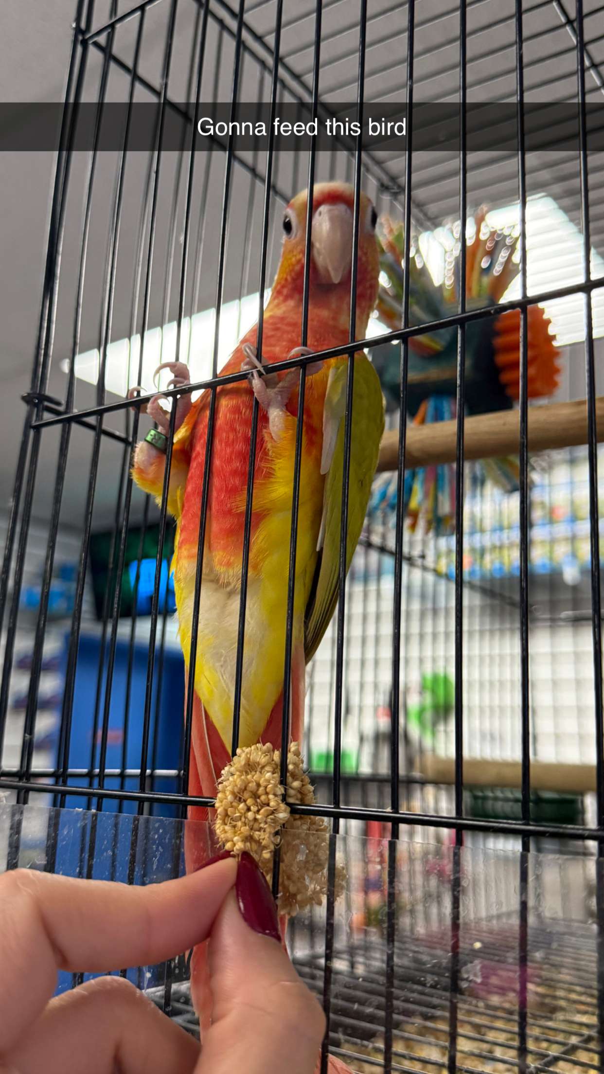 jadelynmusic snapchat image archive image