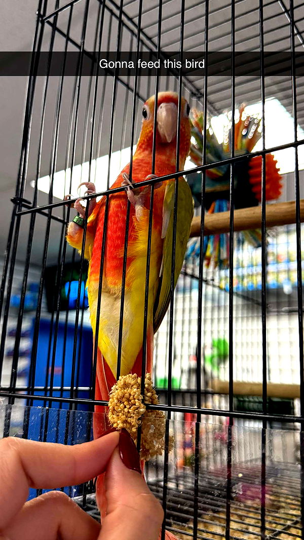 jadelynmusic image ~ Altpins