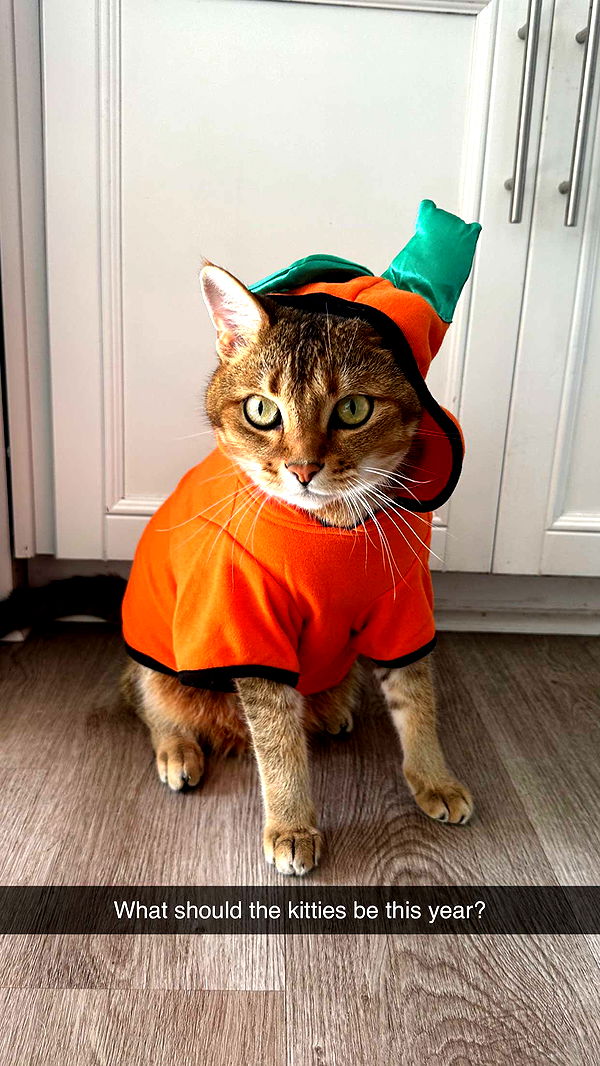 jadelynmusic image ~ Altpins