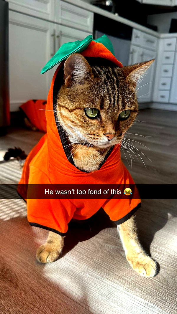 jadelynmusic image ~ Altpins