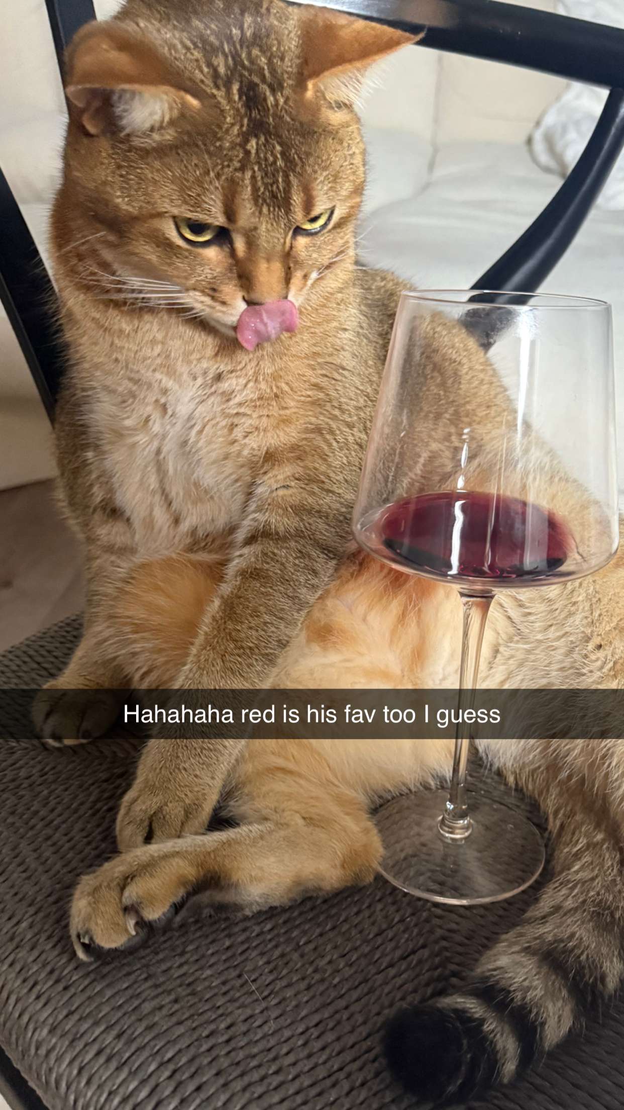 jadelynmusic snapchat image archive image