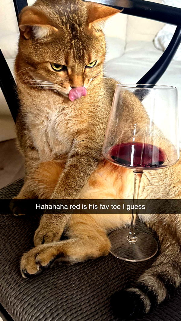 jadelynmusic image ~ Altpins