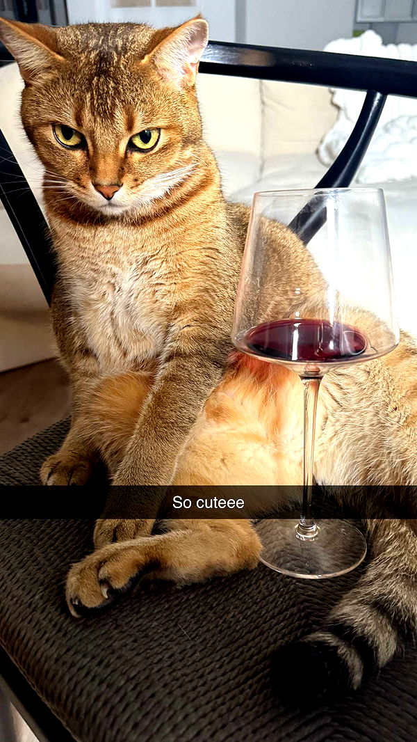 jadelynmusic image ~ Altpins