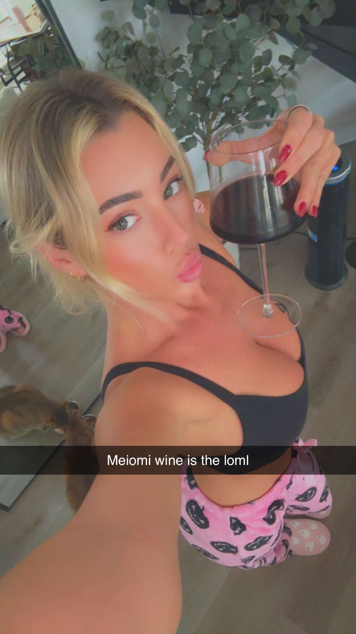 jadelynmusic snapchat image archive image