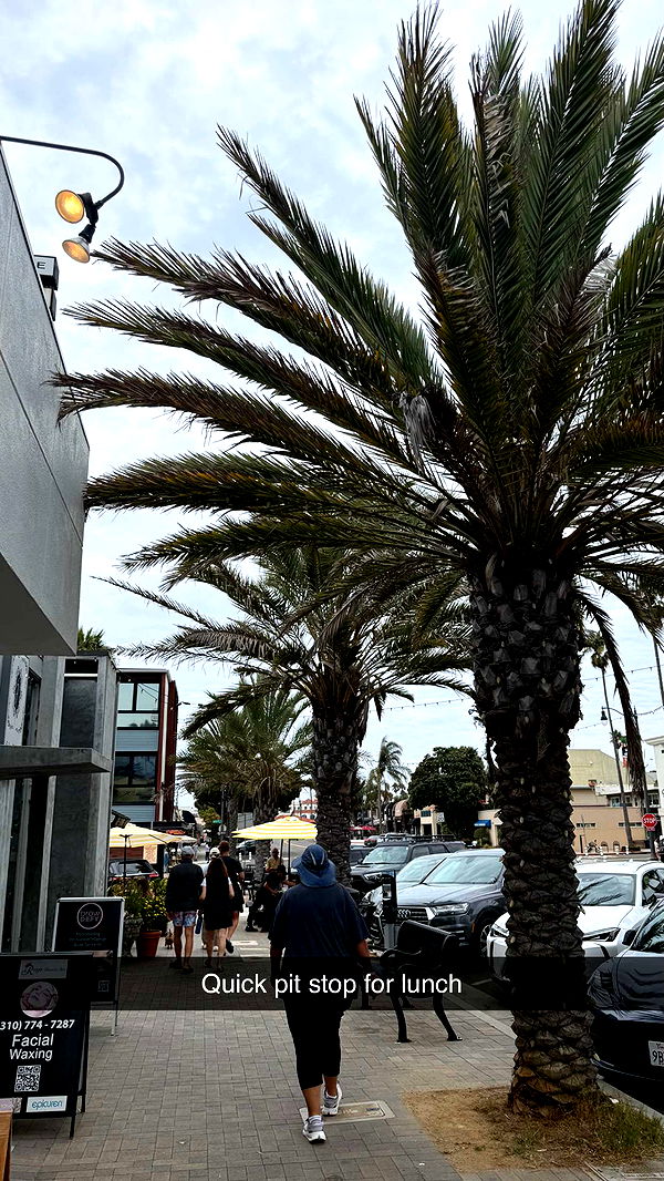 jadelynmusic image ~ Altpins