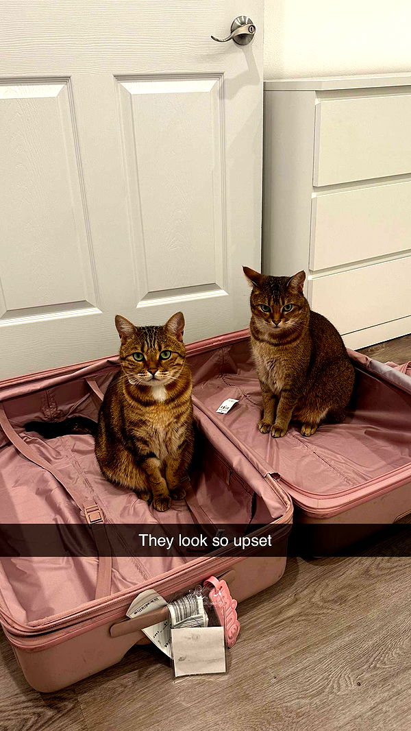 jadelynmusic image ~ Altpins