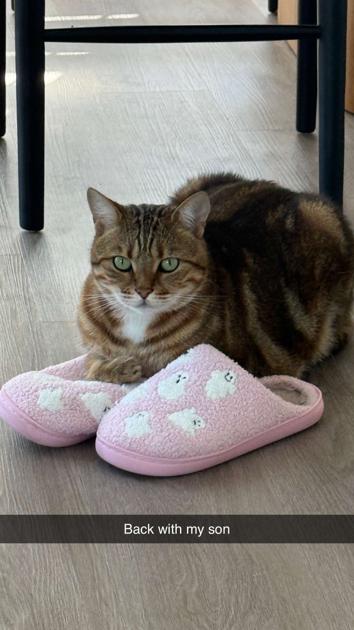 jadelynmusic snapchat image archive image