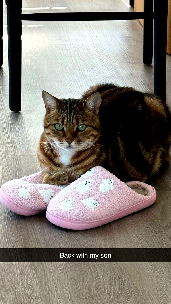 jadelynmusic image ~ Altpins