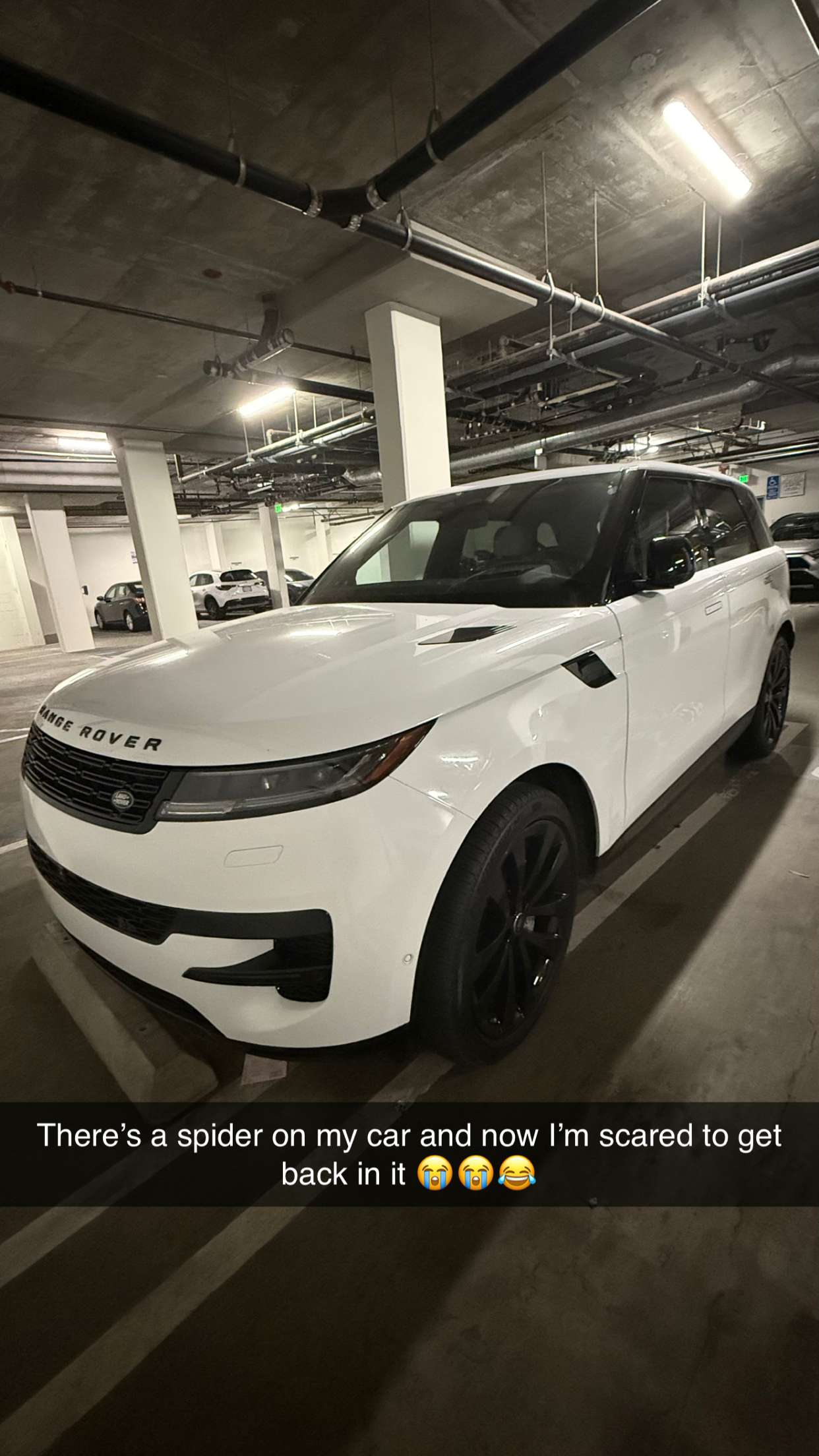 jadelynmusic snapchat image archive image