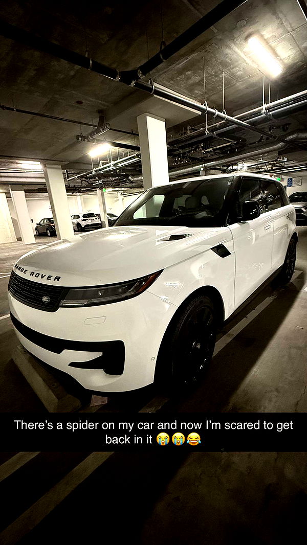 jadelynmusic image ~ Altpins