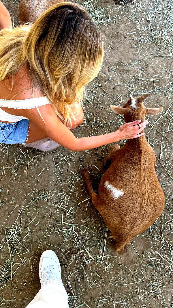 jadelynmusic image ~ Altpins