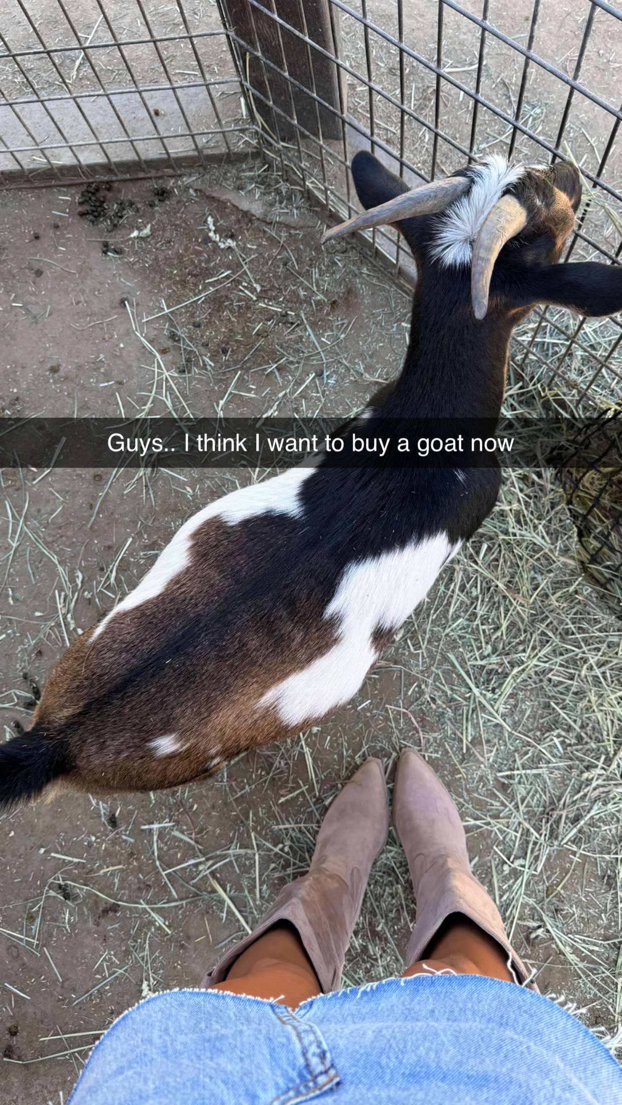 jadelynmusic snapchat image archive image