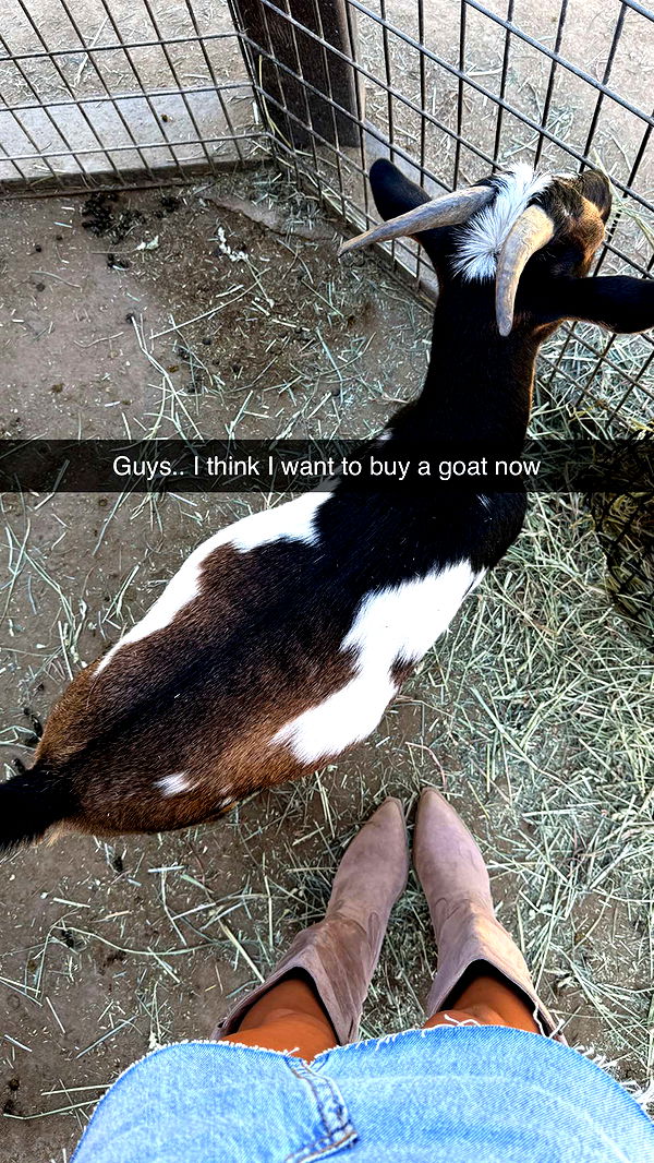 jadelynmusic image ~ Altpins