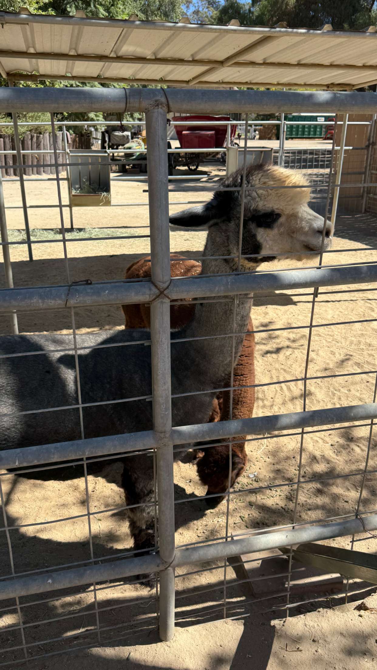 jadelynmusic snapchat image archive image