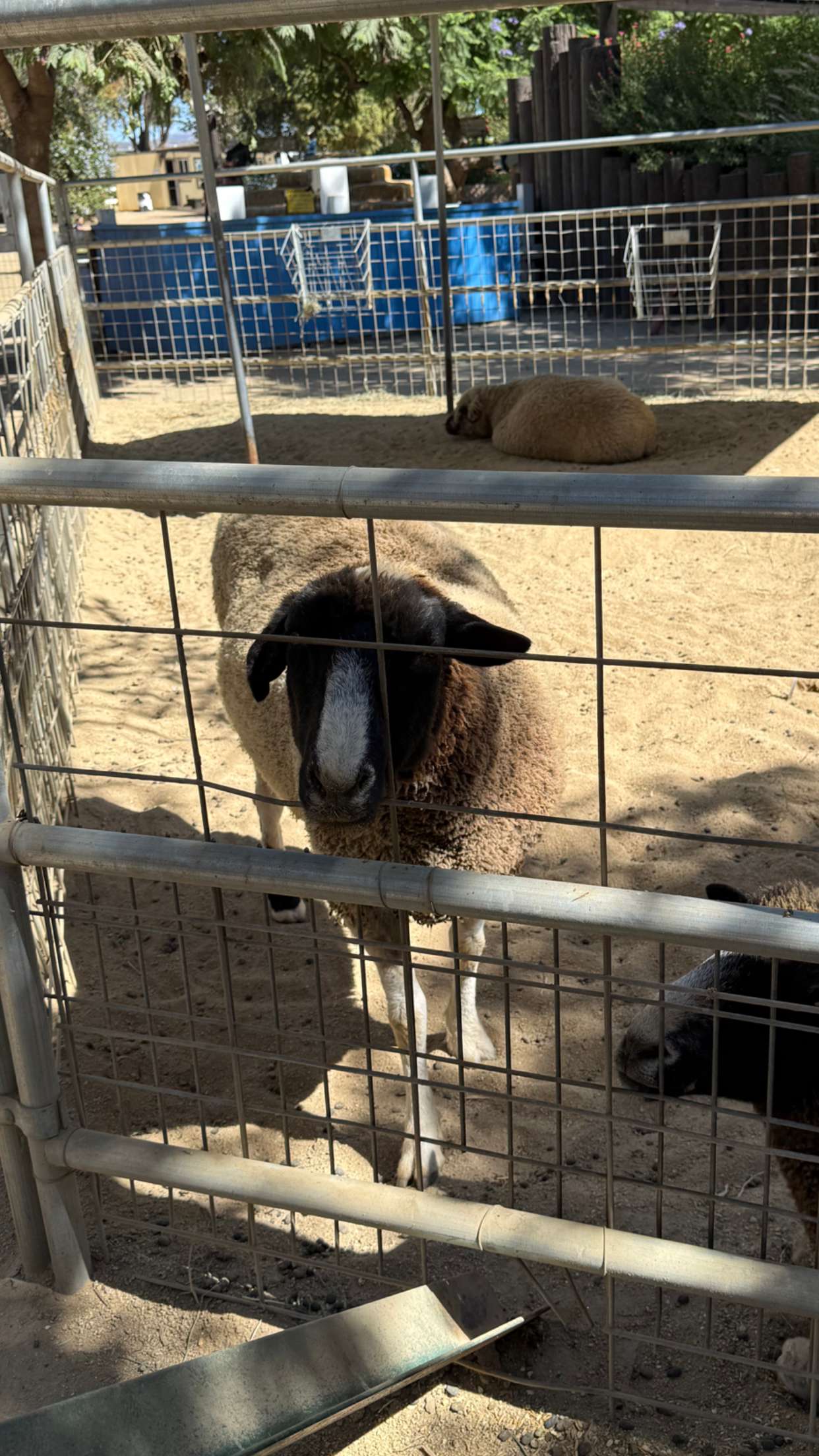 jadelynmusic snapchat image archive image